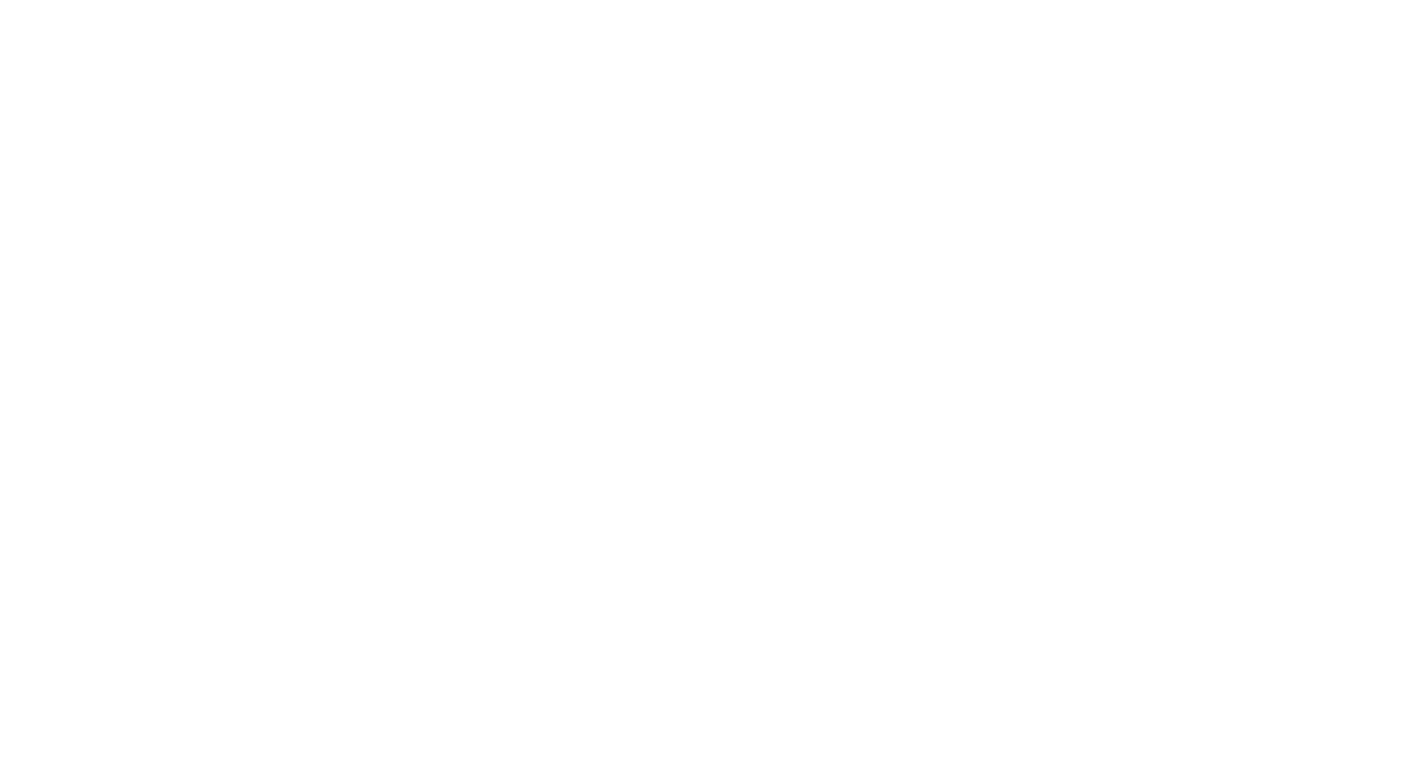 TFN Logo white TFN Logo white